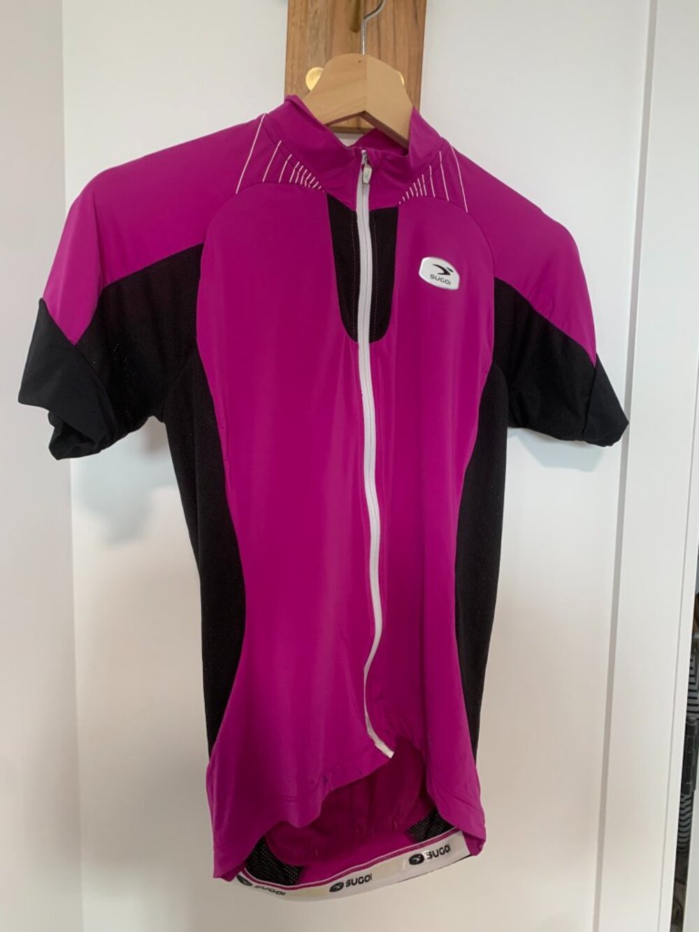 Louis Garneau cycling jersey